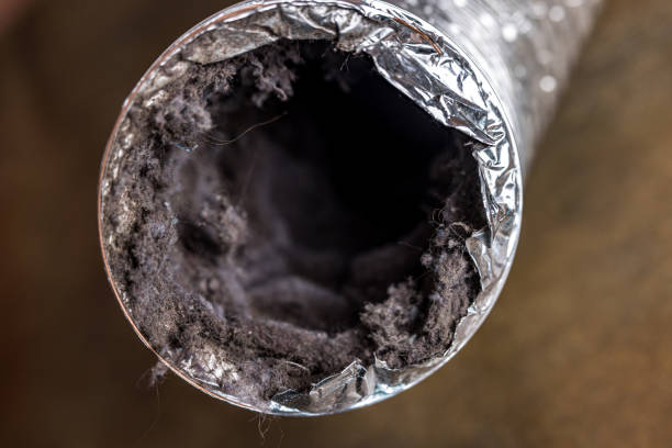 Best Air Duct Cleaning Near Me  in Glendale, MS
